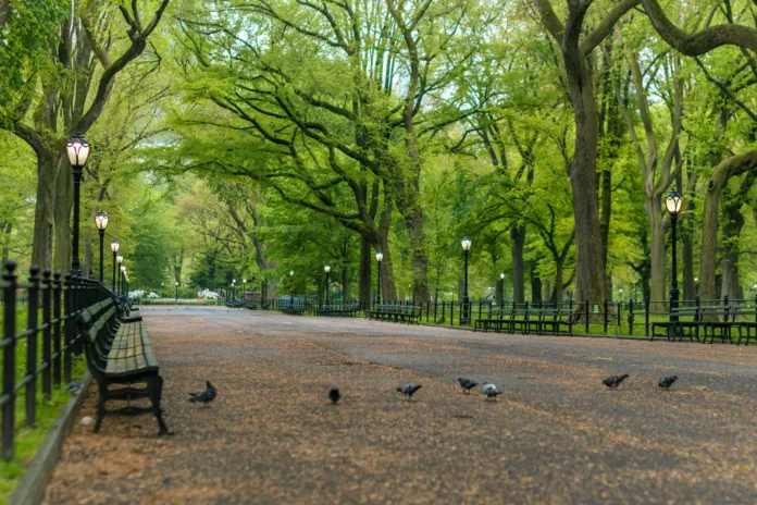 People sitting on a city park bench under a canopy of trees