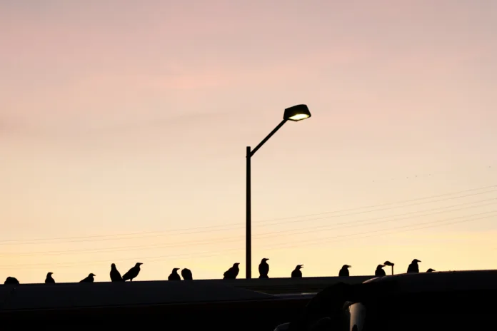 Photo by Buddy AN on Unsplash