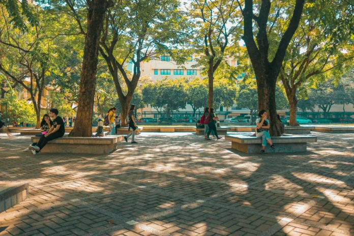 People sitting on a bench outside near daytime on a campus