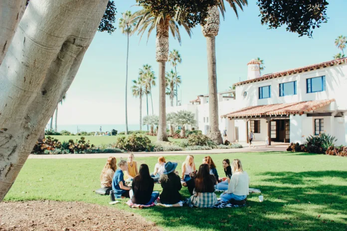A group of people sitting on a lawn outside of a palm tree